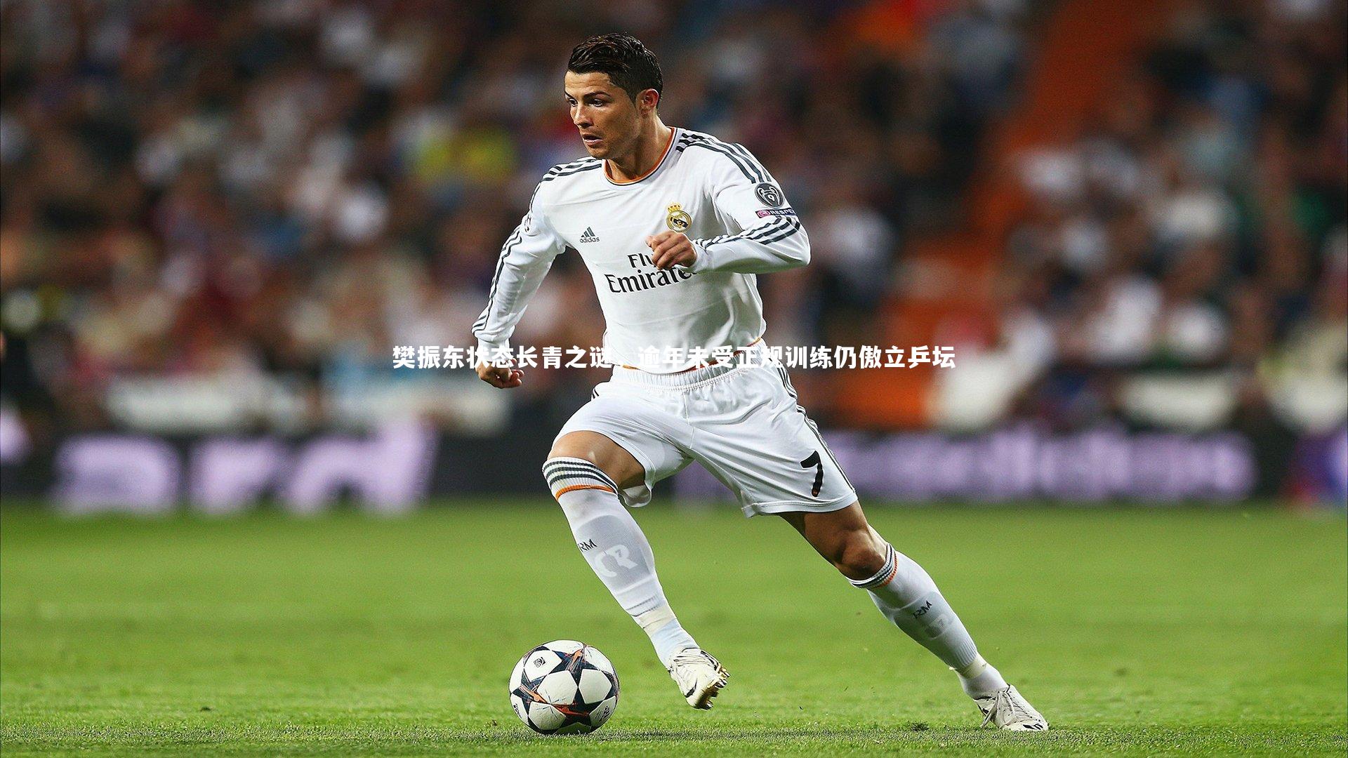 【牛8体育】樊振东状态长青之谜，逾年未受正规训练仍傲立乒坛